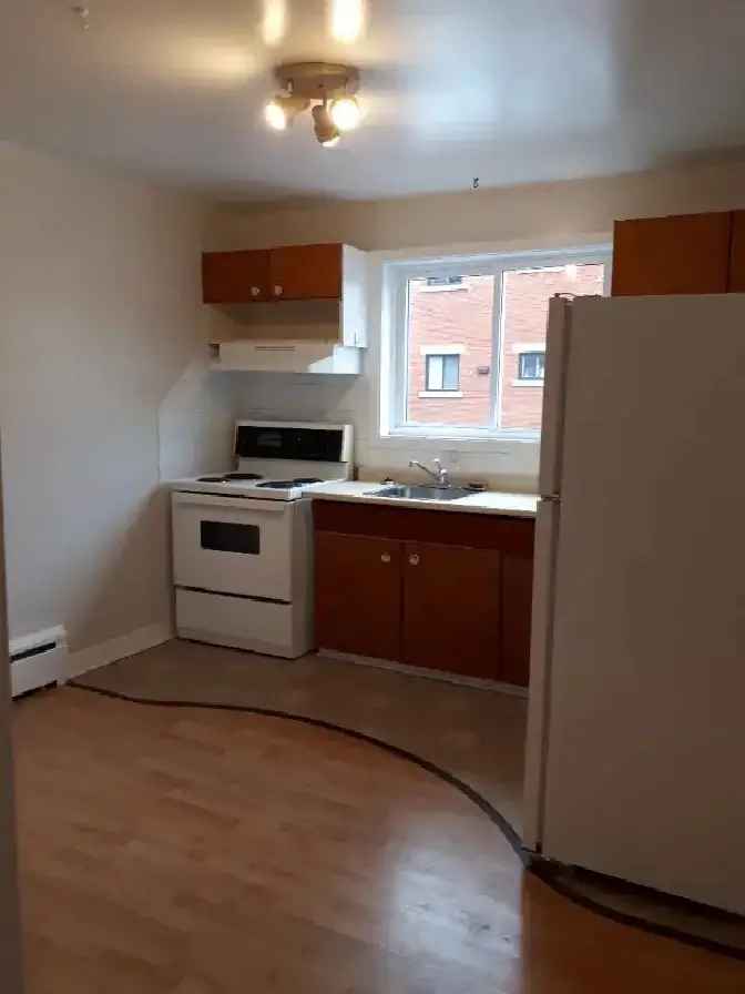 Renovated 2 bed - available March 1st