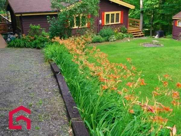 Lakefront Bungalow Laurentians 3 Bedrooms 2 Offices Pan Abode