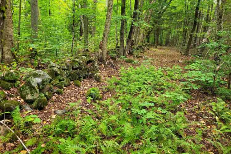 25 Acre Off Grid Lot Joly Township Secluded Cabin Retreat