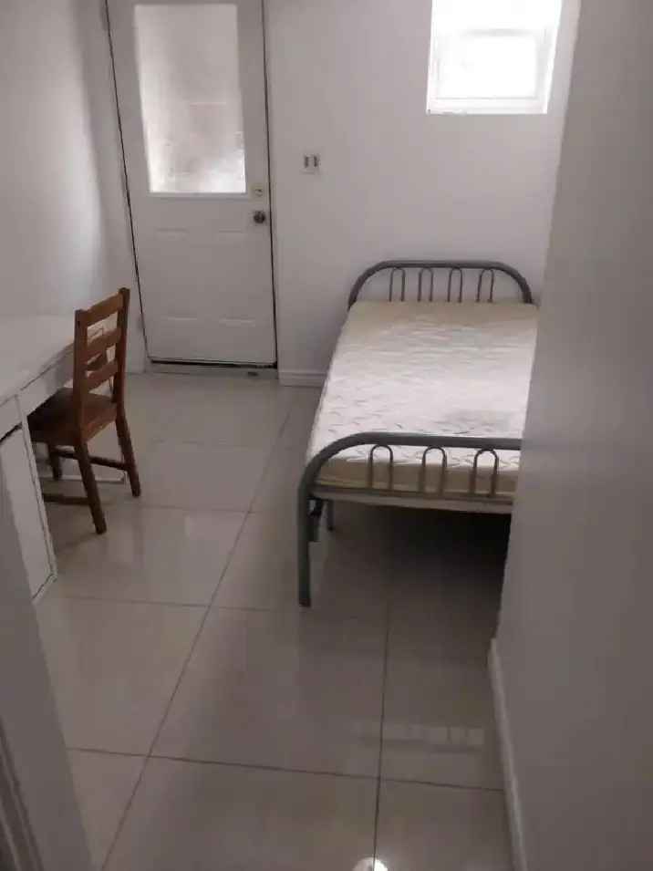 Basement Room near York University for Students