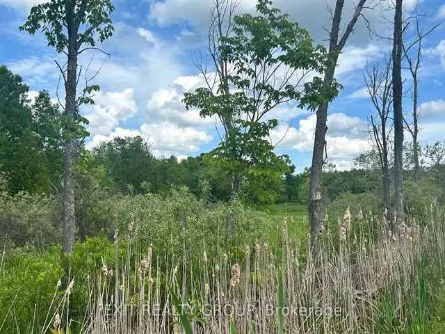 8-Acre Secluded Arden Property Near Kennebec Lake