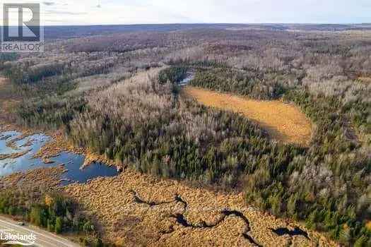 91 Acres Recreational Property in Trout Creek