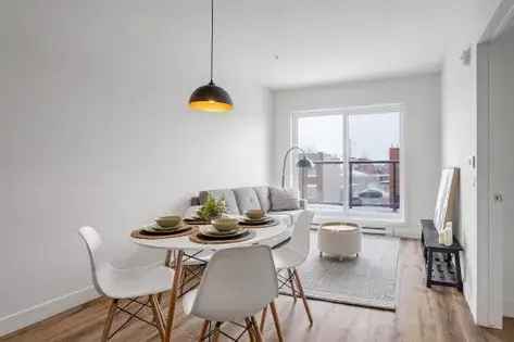 3 Room 55m² Apartment in Montreal Rosemont-La-Petite-Patrie