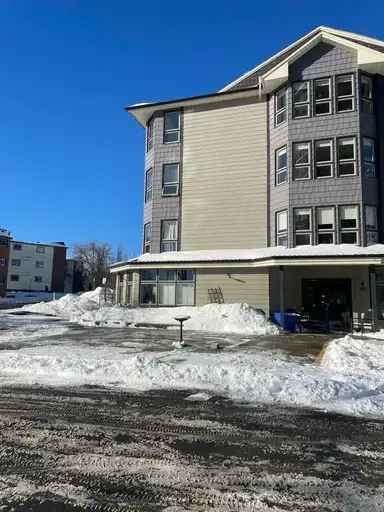 Rent Renovated Studio Apartment in Ottawa with Utilities Included