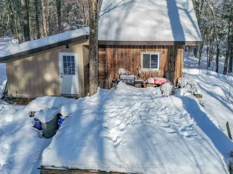 13+ Acres with Streamside Cabin - Nature Lover's Paradise