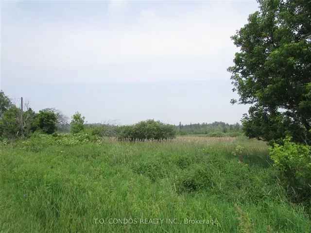 8.28 Acres Vacant Land East Gwillimbury Dream Home Opportunity