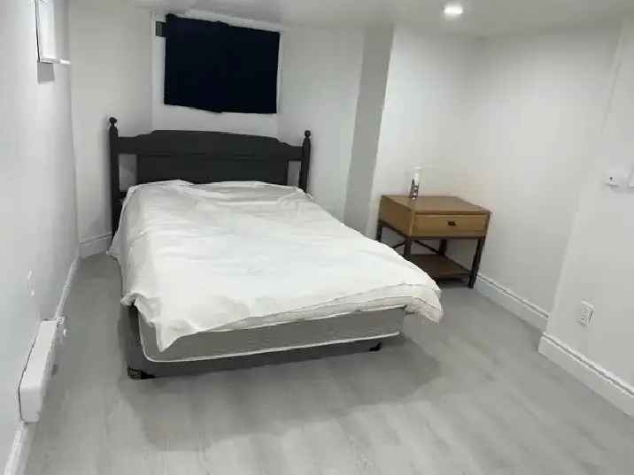 Room Rental Downtown - Newly Renovated Basement Unit