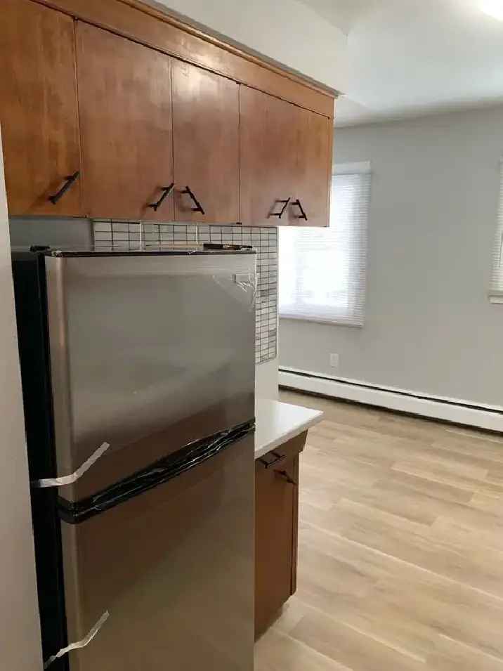 1 bedroom renovated apartment - 2nd floor