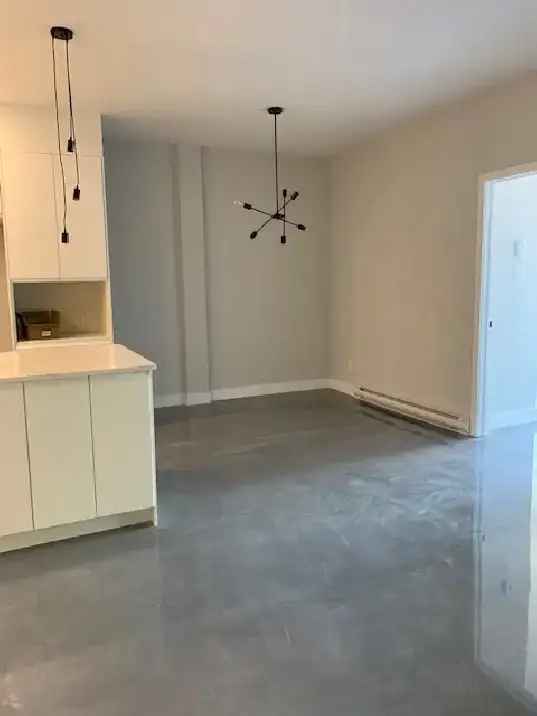 Large Renovated 4 1/2 in Hochelaga Maisonneuve