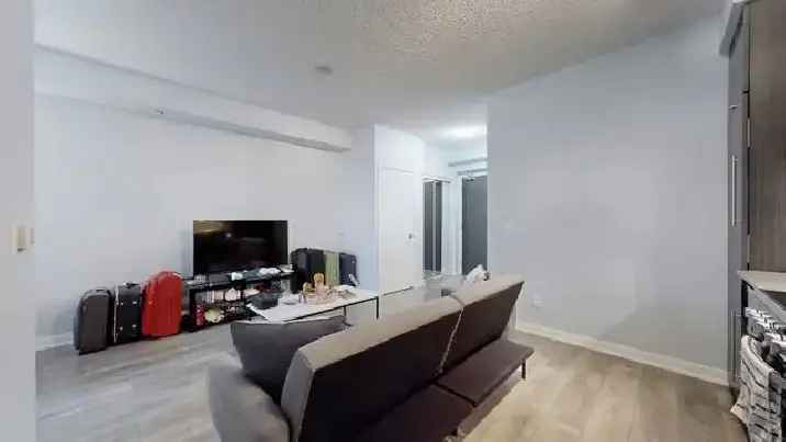 Large One Bedroom Condo Downtown