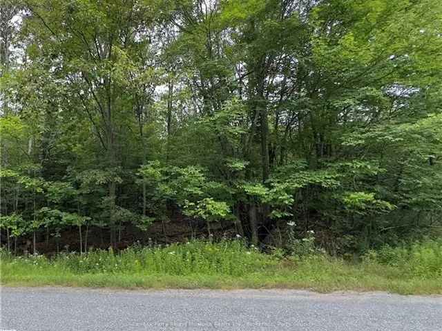 Beautiful Wooded Building Lot Near Carling Bay Marina