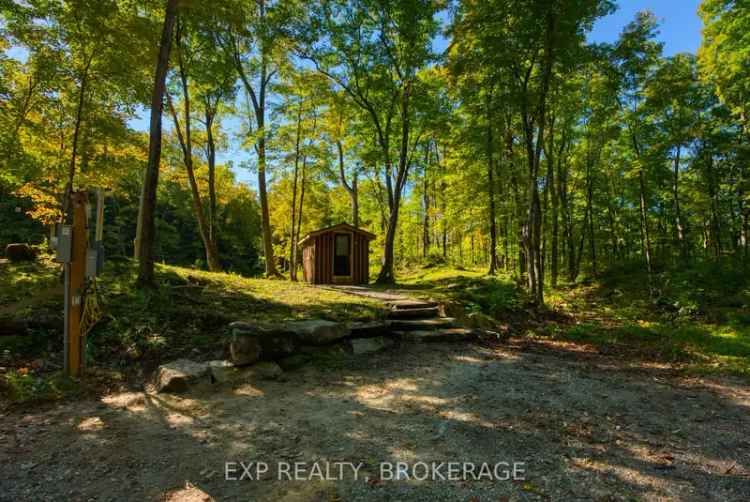 Buy forested land sanctuary with cabin in serene nature retreat