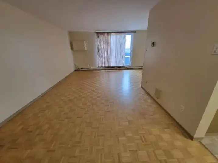 Large One Bedroom Apartment Winnipeg For Rent