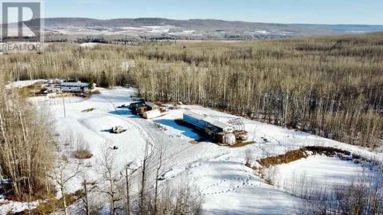 Buy mobile home with 10 acres in Pouce Coupe BC with unique opportunities