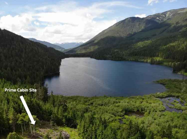 Backcountry Lakefront Acreage - Trout Lake, BC