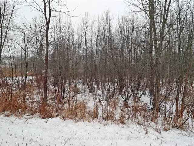 Land For Sale in Tweed, Ontario