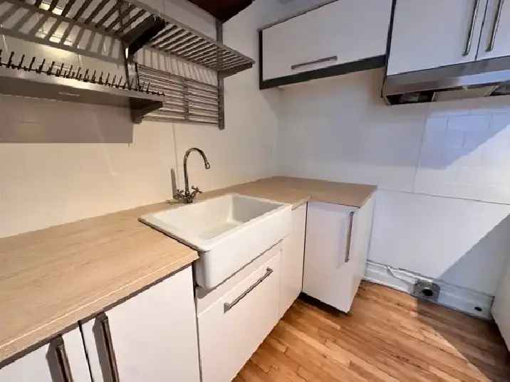 Grand Reno Duplex Apartment Open Concept Kitchen Terrace Skylight
