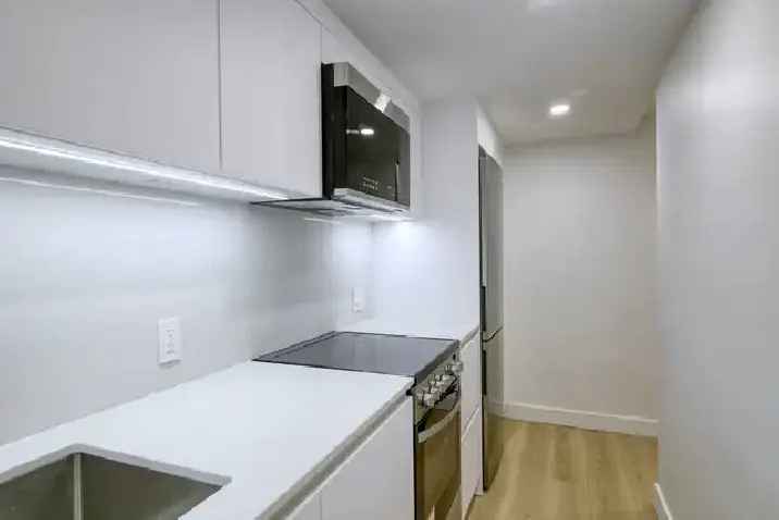 Renovated Studio near McGill available now - ID 3649