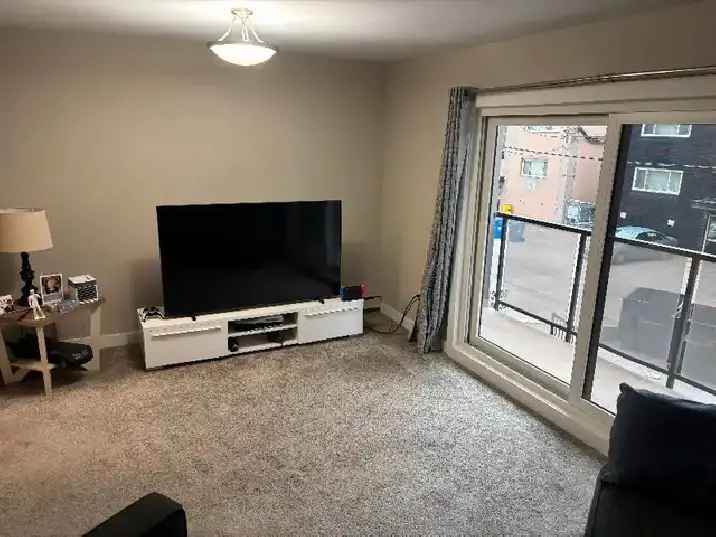 Cozy 1 bedroom, 1 bath in Dowtown Winnipeg