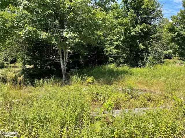 8.5-Acre Lot in Whitestone - Build Your Dream Home