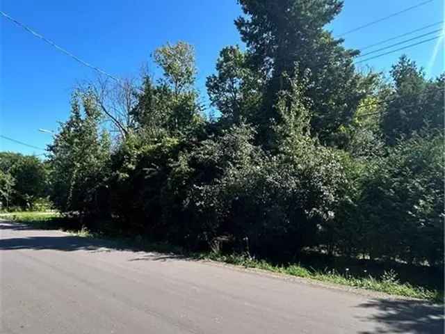 Wooded Lot in Collingwood for Dream Home