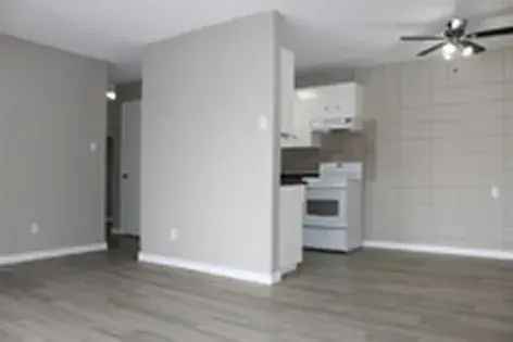 1 room apartment of 32 m² in Edmonton