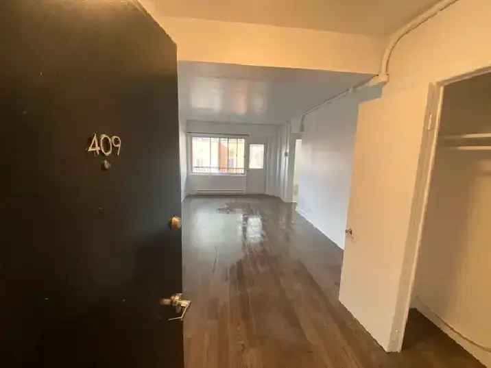 Rent Large Apartment in Downtown Montreal with Pets Allowed