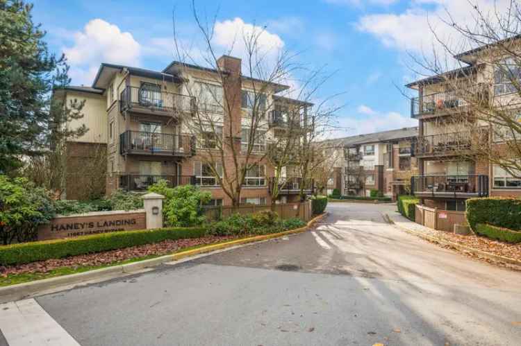 1 Bedroom Condo in Maple Ridge