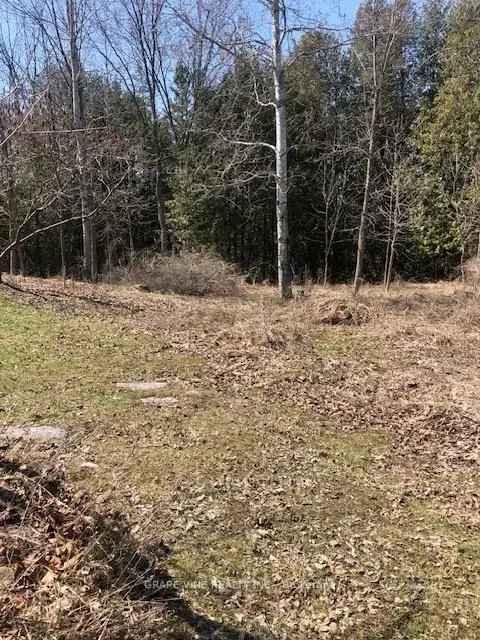 Vacant Lot Ready for Construction Poole Creek