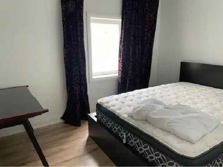 Furnished Rent Apartment 2 Bedrooms Kensington Market