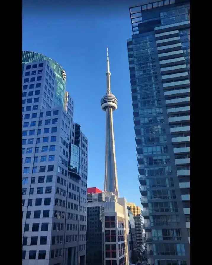 New Furnished 2BD 2BA Condo for Rent Downtown Toronto / May 1st