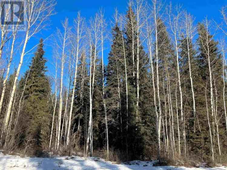 131 Acre Property with Mountain Views - Ideal Homestead