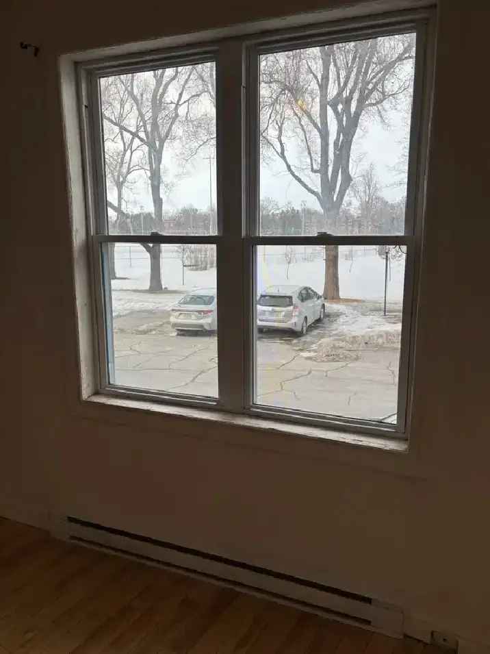 Rosemont 4 1/2 Condo Loft near Parc Beaubien