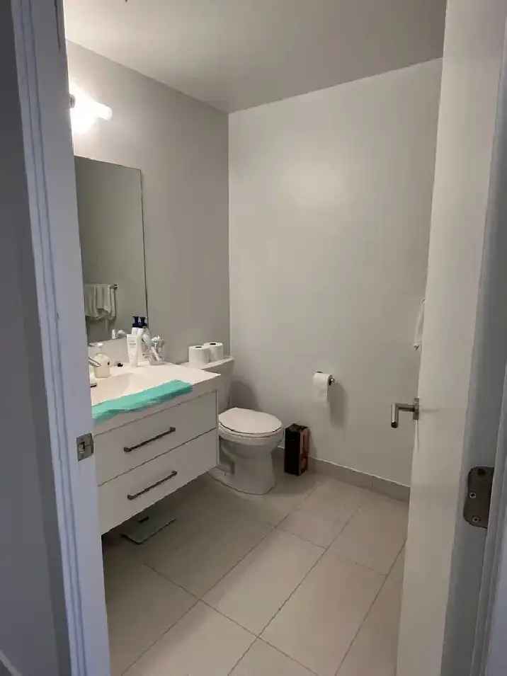 Downtown Condo for a month for $900 (PRICE DOWN)