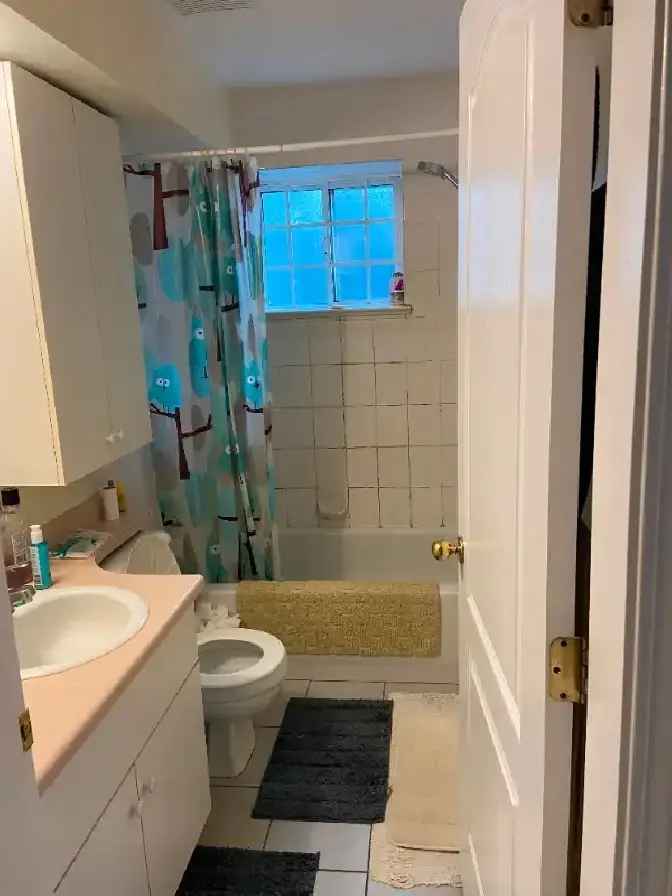 Needs one male to SHARE  1 bdrm in a basement suite Vancouver