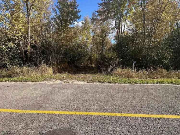 109 Acres Private Oasis near Ottawa - Hunting ATV Getaway