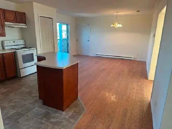 Rent Large Beautiful Apartment in Uptown with Modern Features