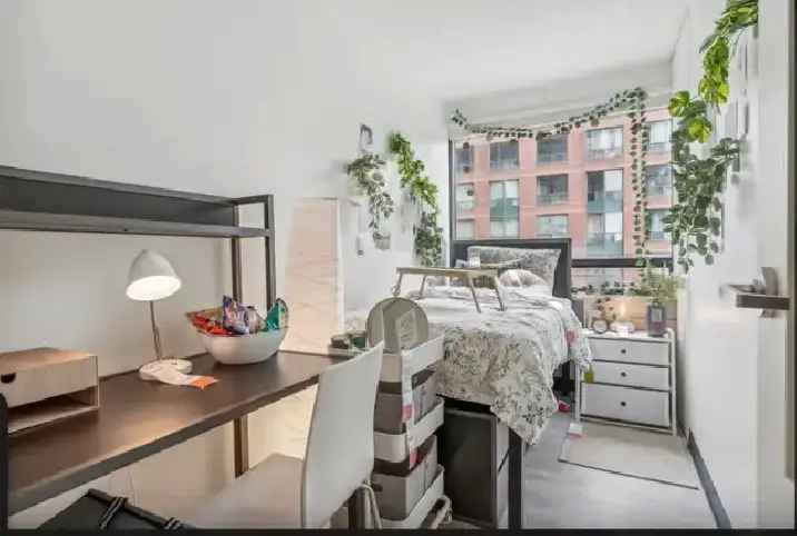 Rent Private Bedroom in Downtown Toronto with Great Amenities