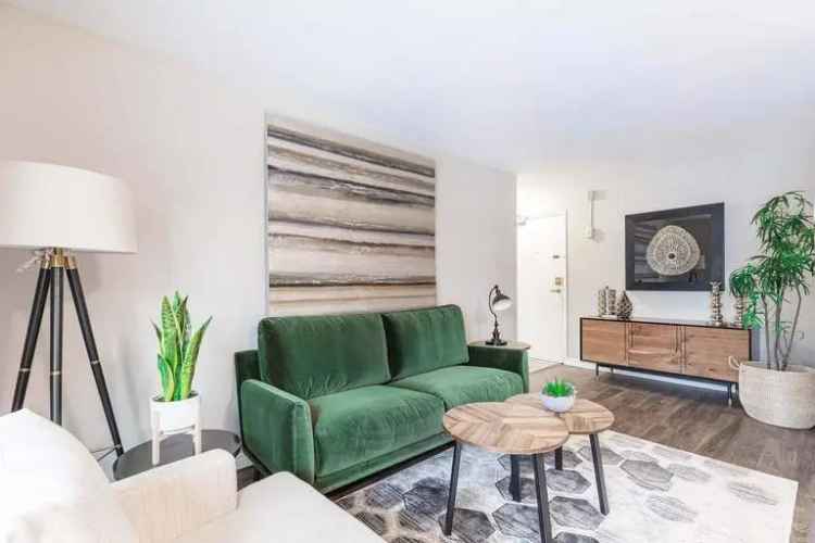 Rent Apartment in London with Modern Finishes Near Wortley Village