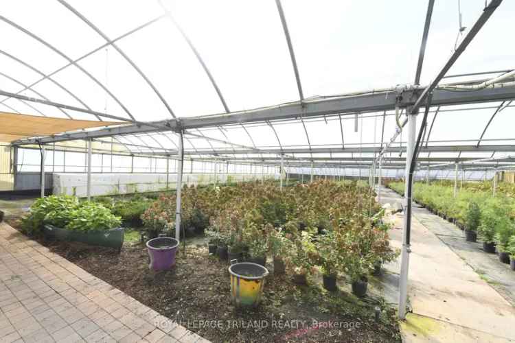 Rent Greenhouse Facility with Raised Ranch and Pool in Canada