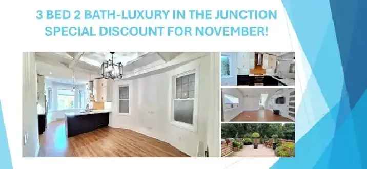 LUXURY 3 BED 2 BATH APARTMENT FOR RENT - JUNCTION HIGH PARK