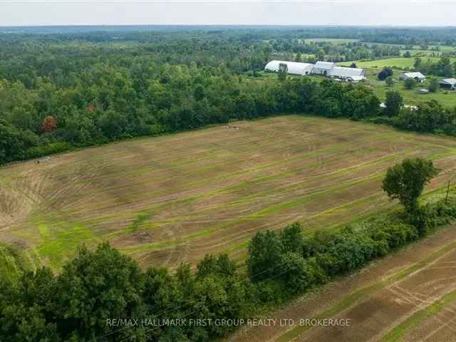 5-6 Acre Property: Build Your Dream Estate