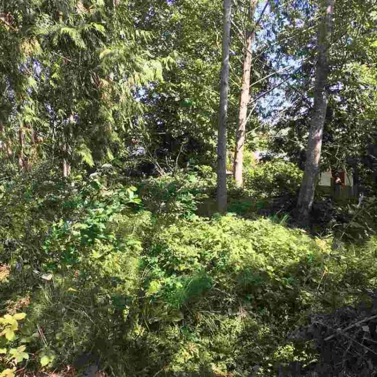 Lower Gibsons Lot for Sale: Custom Home Opportunity