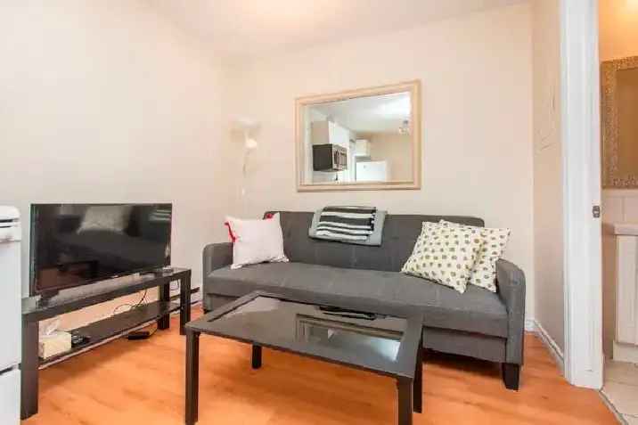 Furnished One Bedroom Apartment - Hintonburg Ottawa