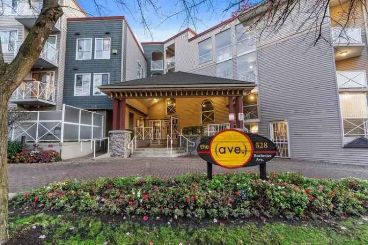 The Ave 1 Bed 1 Bath Suite Spacious Open Layout Pet Friendly