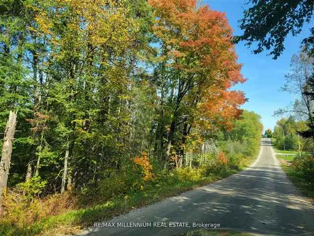 Magnetawan 1-Acre Vacant Lot - Cottage Country Living