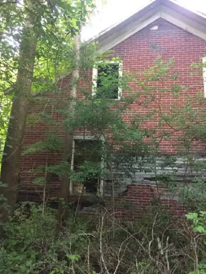 59 Acres of Land with Mature Trees and Road Access