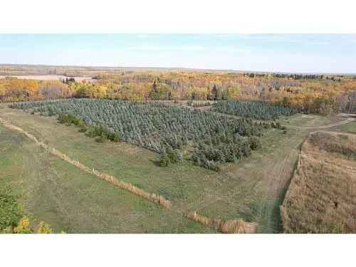 Vacant Land For Sale In Rural Grande Prairie No. 1, County of, Alberta