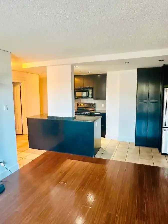 Cozy Spacious 1 Bedroom Condo across from SAIT