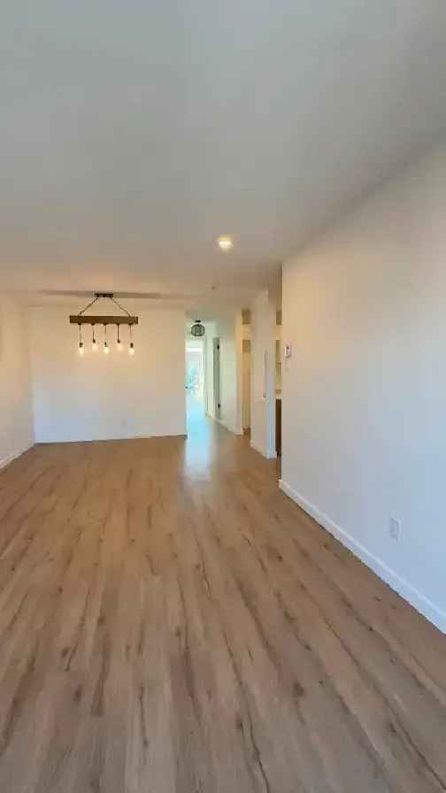 Appartement neuf avec 3 chambres, 5 1/2  à louer à Montréal